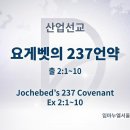 237산업 티스토리