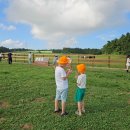 유찬목장 이미지