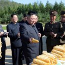 현지농장 이미지