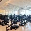 디클리셰 이미지