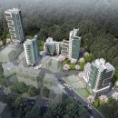 더포레C 이미지