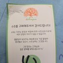 헬로아쿠아 | 헬로아쿠아 수초 구매 후기