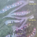 하너미로 이미지