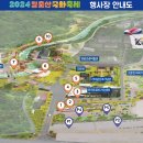 영암 월출산 국화축제 이미지