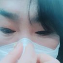 주식회사 온덴탈 | 고품질마스크 국내생산 프리미엄3D 덴탈마스크 솔직후기