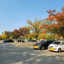 호수공원 제2주차장 이미지