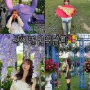 씨유(CU) 신호공원점 | 보라매 공원 2025 서울 국제정원박람회 (주차, 주말 웨이팅, 메타몽 위치)