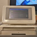 거양길1L-4 | 30대 초산모 한시간 반만에 성공한 자연분만 후기 / 가진통 / 양수터지는 느낌 /자연분만 장단점