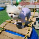 비산골식당 이미지