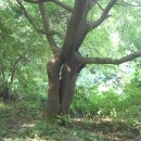 불심약수터 이미지