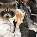 디스동물병원 | 2025.11월(2)