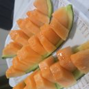 노을농장 | [정보] 작년엔 꿀통, 올해는 노을! 도시농장 노을멜론 솔직 후기