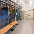 아이파크동물병원 이미지