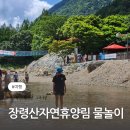 충북 옥천 장령산자연휴양림 당일치기 계곡물놀이 데크이용 숲속동굴