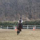 인천승마공원 이미지