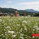 (주)평창투어 이미지