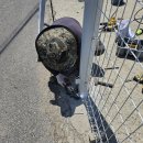 청춘 당구 카페 이미지