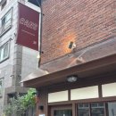 칸스 KANS 이미지