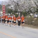 제10회 청남대 울트라 마라톤대회 이미지
