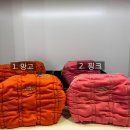 핑크망고 이미지