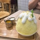 망고네스트