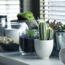 동일진단 이미지