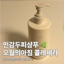 오월의하루 | 민감두피샴푸 오월의아침 콜레세라 2주 써본 후기