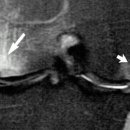 서울마취통증의학과의원 이미지