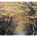 중앙화원 이미지