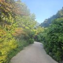 세량지 자판기