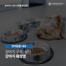 부평종합동물의료센터 이미지
