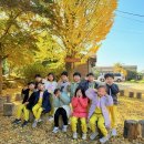 자연유치원 | 우리들 자연학교 11월 14일 예은 유치원 졸업여행 수업 후기