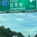 걸구쟁이네 | 여주 한식맛집_[걸구쟁이네🌟]_(ft 여름의 사찰음식한상🥗_호박잎나물볶음•미니사과 장아찌무침)_여주...