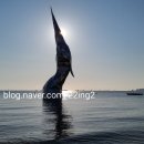 담아볼래