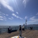 바라라 | 미국 서부 여행 6일차 San francisco가기 위한 ( Santa monica, Malibu, Santa barbara 1박2일 ) 이용 후기