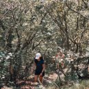 마재슈퍼 이미지