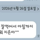 더담은정육점