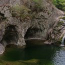 (주) 루리코스 이미지