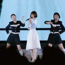 푸른산호초 이미지