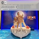 세계중앙지역아동센터 | 꼭 봐야 할 라이프오브파이 연극! 예매방법 + 박정민 후기
