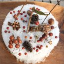 경희숲유치원 이미지