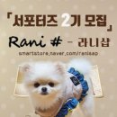 라니네 애견샵 이미지