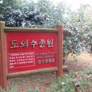 귀일중학교 이미지