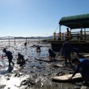 거차뻘배체험마을 이미지