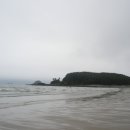 바다 그리고 이미지