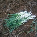 봉서농장 이미지