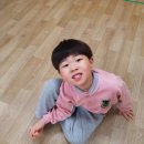 송도 경희대 태권도 이미지