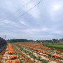 여객선터미널 공중화장실 이미지