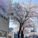감성키친광주 | 광주 감성숙소 [뒹굴뒹굴] 내돈내산 솔직후기