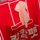 캉캉펫